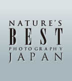 NATURE'S BEST PHOTO GRAPHY JAPAN