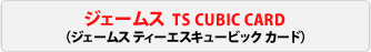 �W�F�[���X TS CUBIC CARD�@�i�W�F�[���X�e�B�[�G�X�L���[�r�b�N�J�[�h�j