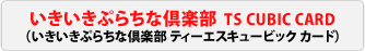 ���������Ղ炿�ȋ�y�� TS CUBIC CARD�@�i���������Ղ炿�ȋ�y���e�B�[�G�X�L���[�r�b�N�J�[�h�j