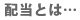配当とは・・・