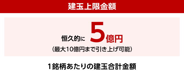 建玉上限金額は恒久的に5億円。