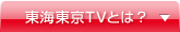 東海東京TVとは？