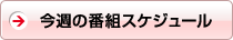 番組一覧