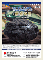 販売用資料画像