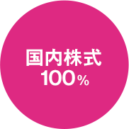 国内株式:100%