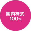 国内株式:100%