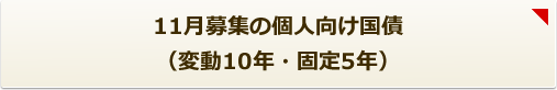 11月募集の個人向け国債（変動10年・固定5年）