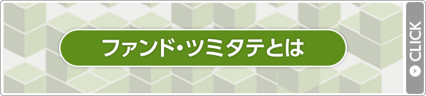 ファンド・ツミタテとは