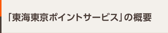 「東海東京ポイントサービス」の概要