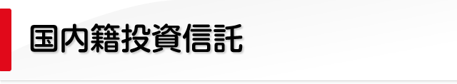 国内籍投資信託