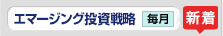 エマージング投資戦略 毎月