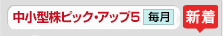 中小型株ピック・アップ5 毎月