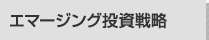 エマージング投資戦略